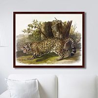 картина: jaguar, 1841г. в Калуге