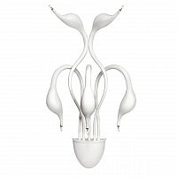 бра lightstar cigno collo wt 751656 в Калуге