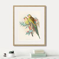 картина: love parrots, 1850г. в Калуге