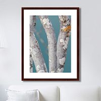 картина: trees on the galapagos islands, ecuador no1 в Калуге