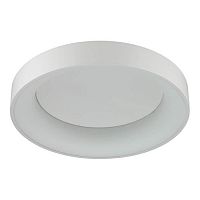 потолочный светодиодный светильник odeon light sole 4062/40cl в Калуге