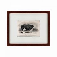 картина: a hereford bull, 1849 в Калуге