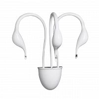 бра lightstar cigno collo wt 751636 в Калуге