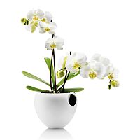 горшок для орхидеи orchid pot белый в Калуге