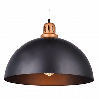 подвесной светильник arte lamp eurica a4249sp-1bk в Калуге