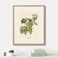 картина juicy fruit lithography №13, 1870 г., 42х52 см в Калуге