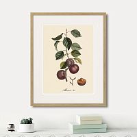 картина: juicy fruit lithography №6, 1870г. в Калуге