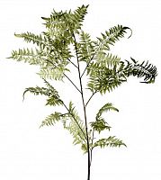 декор fl12056 (giant fern) в Калуге