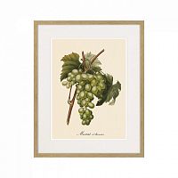 картина juicy fruit lithography №13-1, 1870 г., 42х52 см в Калуге