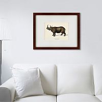 картина: rhinoceros ancienne gravure, 1849 в Калуге