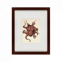 картина: pacific octopus, 1731 в Калуге