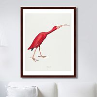 картина: scarlet ibis, 1827г. в Калуге