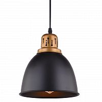 подвесной светильник arte lamp eurica a4245sp-1bk в Калуге