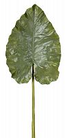 декор giant taro leaf в Калуге