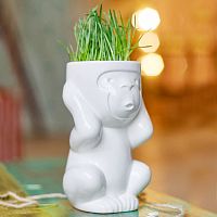 горшок для растений eco игнорик в Калуге