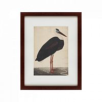 картина: black stork in a landscape, индия, 1780 в Калуге