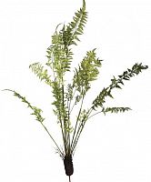 декор fern plant в Калуге