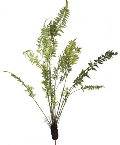 декор fern plant в Калуге