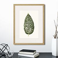 картина: single leaf of a plant №1, 1865г. в Калуге