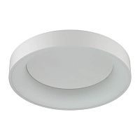 потолочный светодиодный светильник odeon light sole 4062/50cl в Калуге